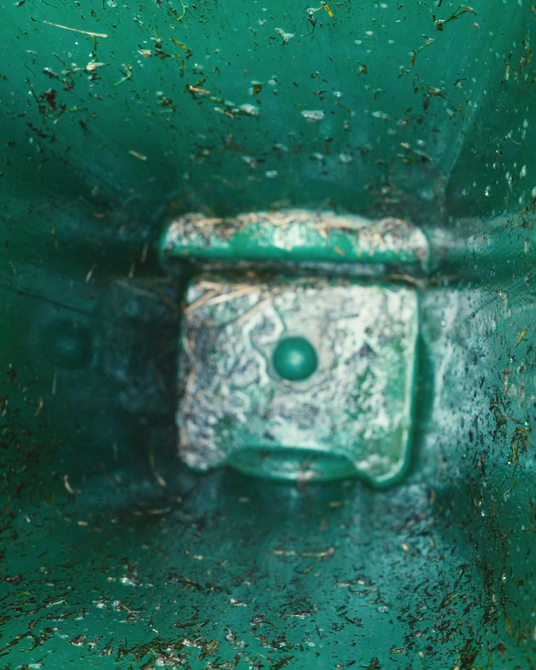 WolfWash containerreiniging