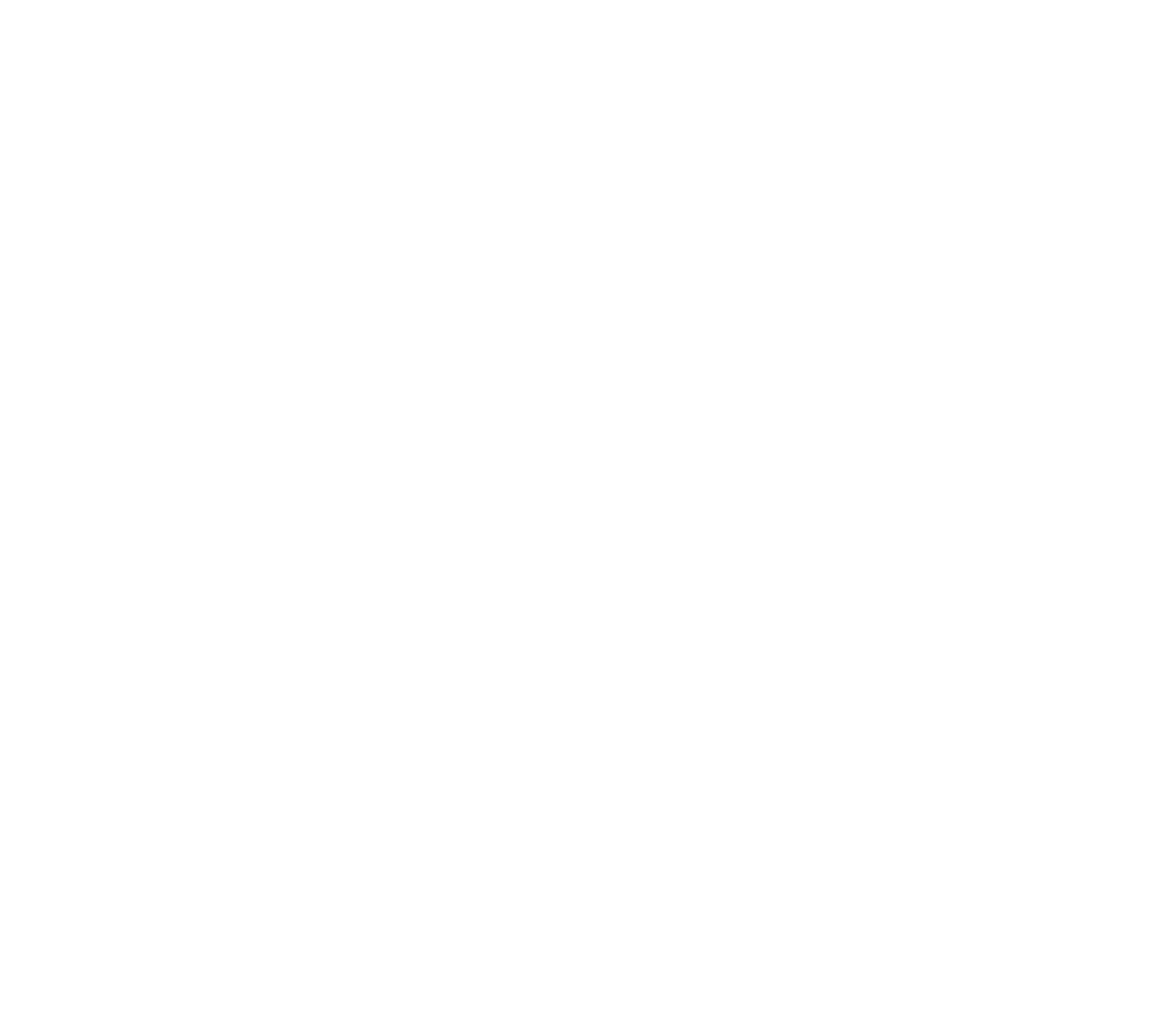 WolfWash
